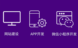 企业官网开发/APP开发和优化问题